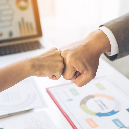 Sans titre (512 x 512 px) (12)